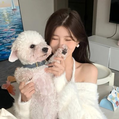 驯鹿大冒险：超越北极光