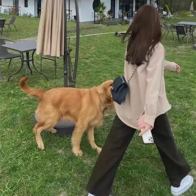 三个盗贼和狮子